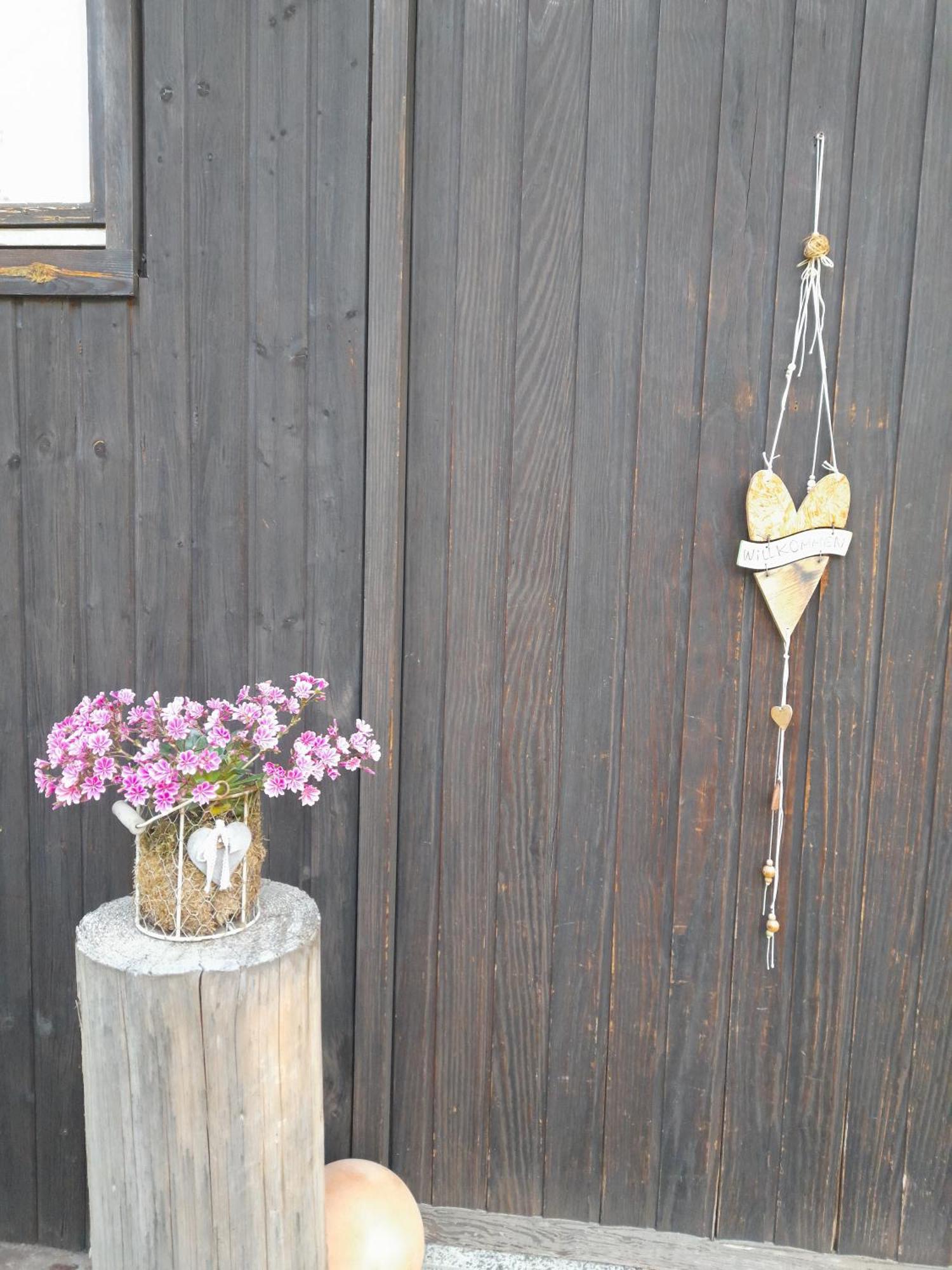 Ferienhaus Isele Feldberg  Esterno foto